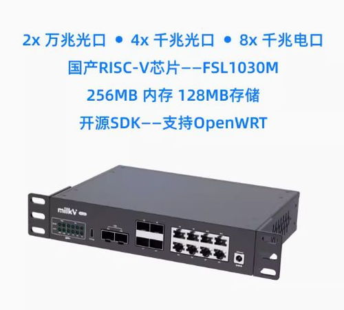 799元售价启动 全球首款开源万兆RISC-V网络交换机Milk-V Vega正式开售